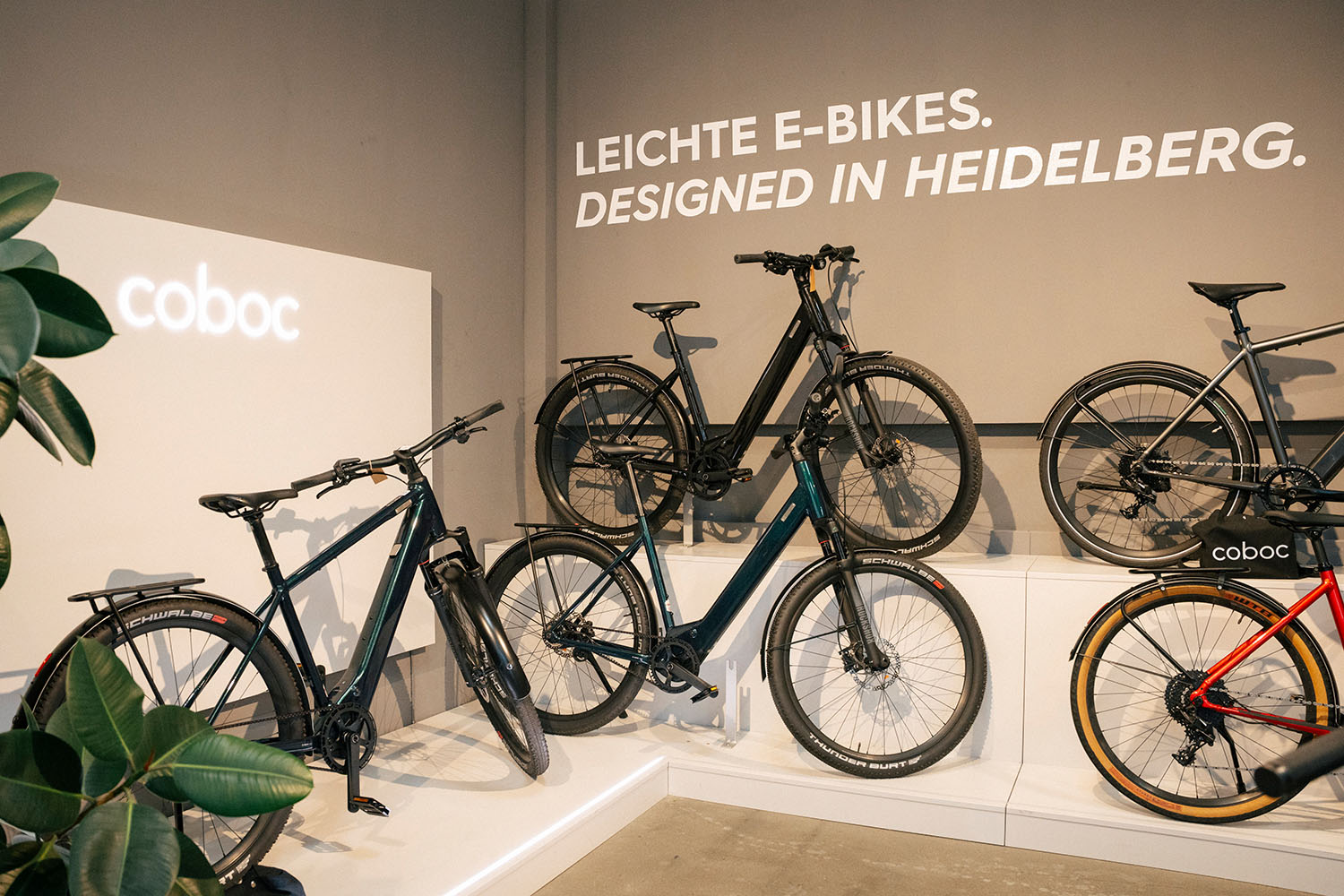 Coboc E-Bikes von Ruprecht Rides Heidelberg